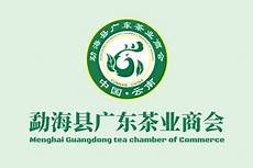 问我在新加坡本地上网 结果IP地址显示还是中国的 