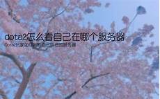 中新国际互联网数据专用通道开通_中央网络安全和信