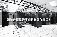 小米服务器 新加坡,小米服务器 新加坡,导语小米首个海外实体店于近