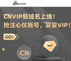 “中国是新航集团的重要市场