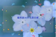 访问新加坡服务器502